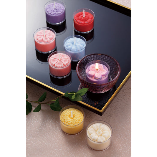 Oita Prefecture logs, thick meat Donko shiitake mushrooms, 70g