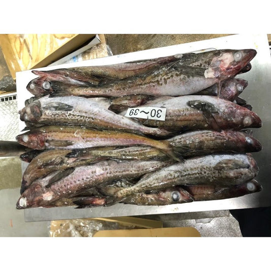 Frozen Pollack (Round)