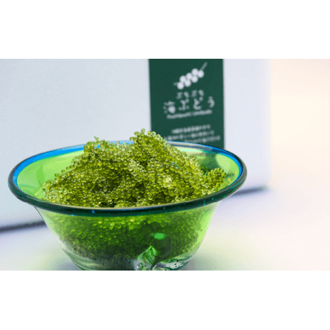 Umibudo (green caviar)