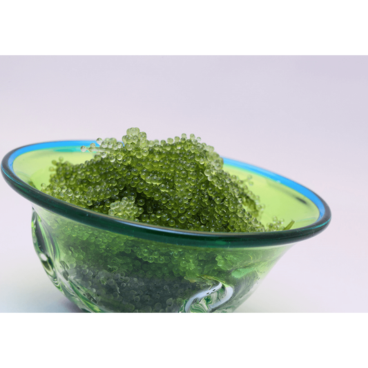 Umibudo (green caviar)