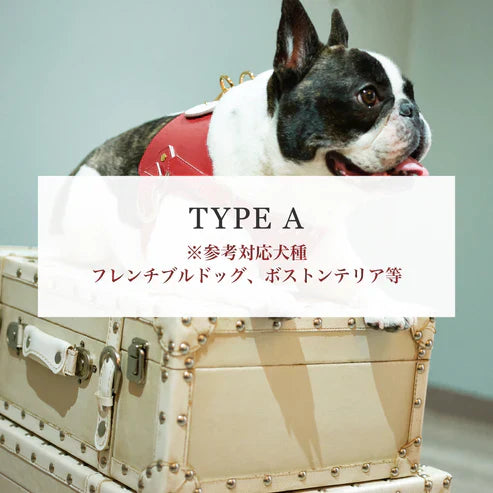 N&F - Leash - Jewelry Emboss