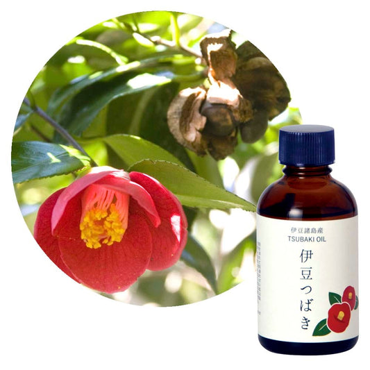 Izu Tsubaki oil